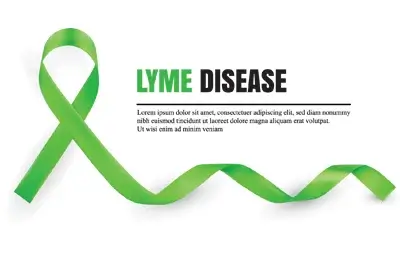 Lyme Disease: 27 Facts