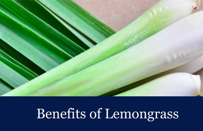 Benefits and Uses of Lemongrass