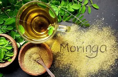 Benefits and Uses of Moringa