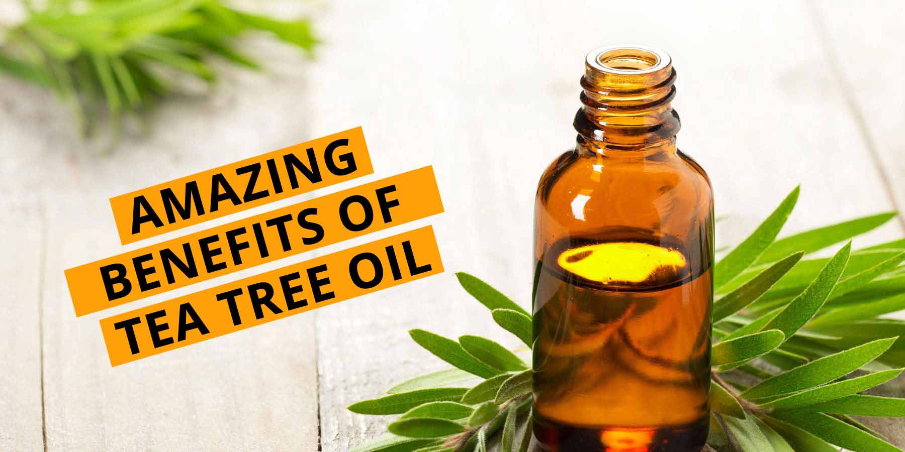 benefits-of-tea-tree-oil