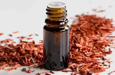 Benefits and Uses of Sandalwood Oil