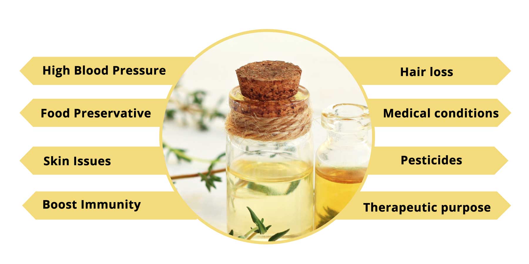 benefits of thyme-oil