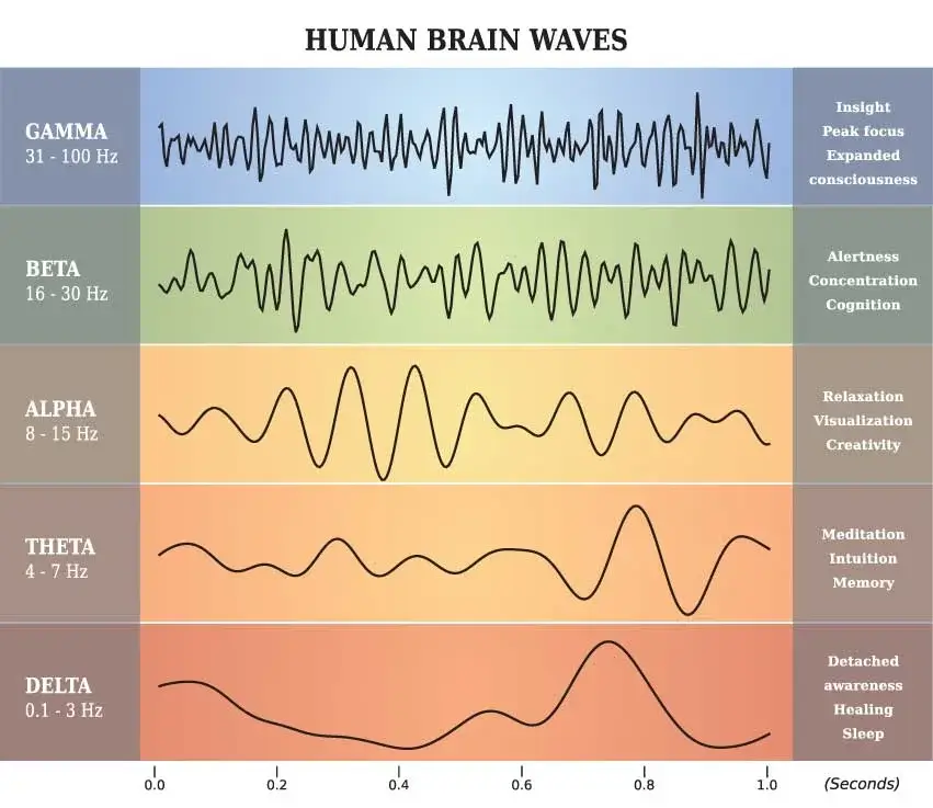 brain-waves