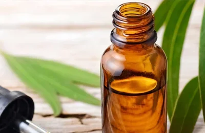Benefits and Uses of Eucalyptus Essential Oil