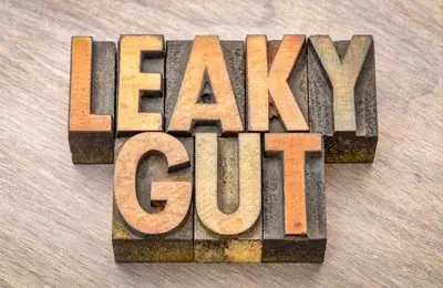 Leaky gut syndrome and Lyme disease