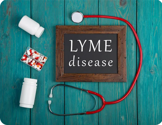 PEMF for lyme disease