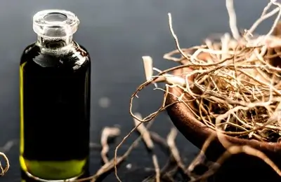 Benefits and Uses of Vetiver Oil