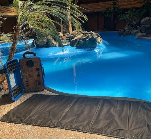 Sentient Element PEMF review – 99 year old man