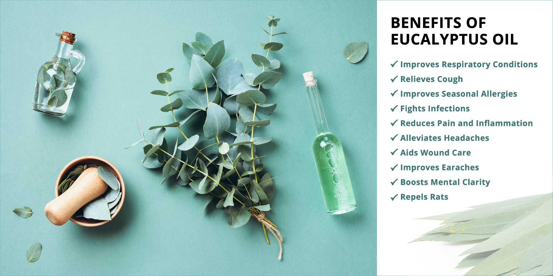 benefits-of-eucalyptus-oil