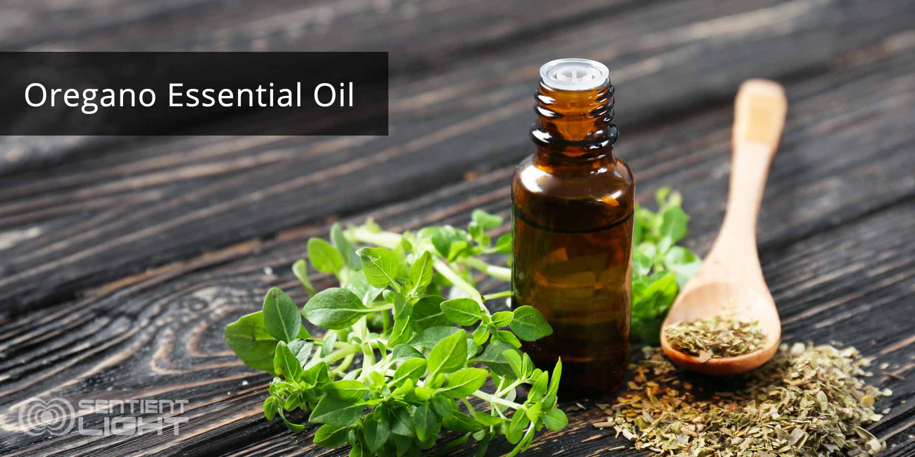 oregano essential oil