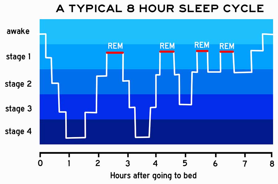Understanding the Sleep
