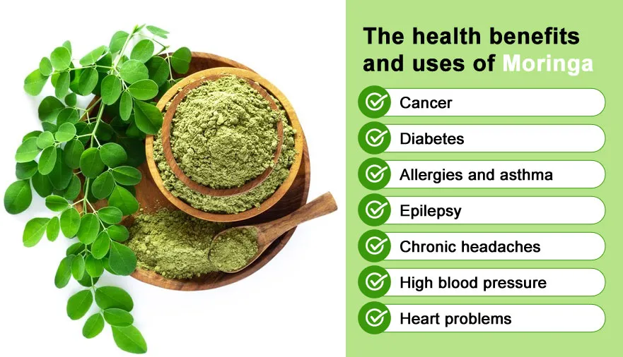 benefits-moringa