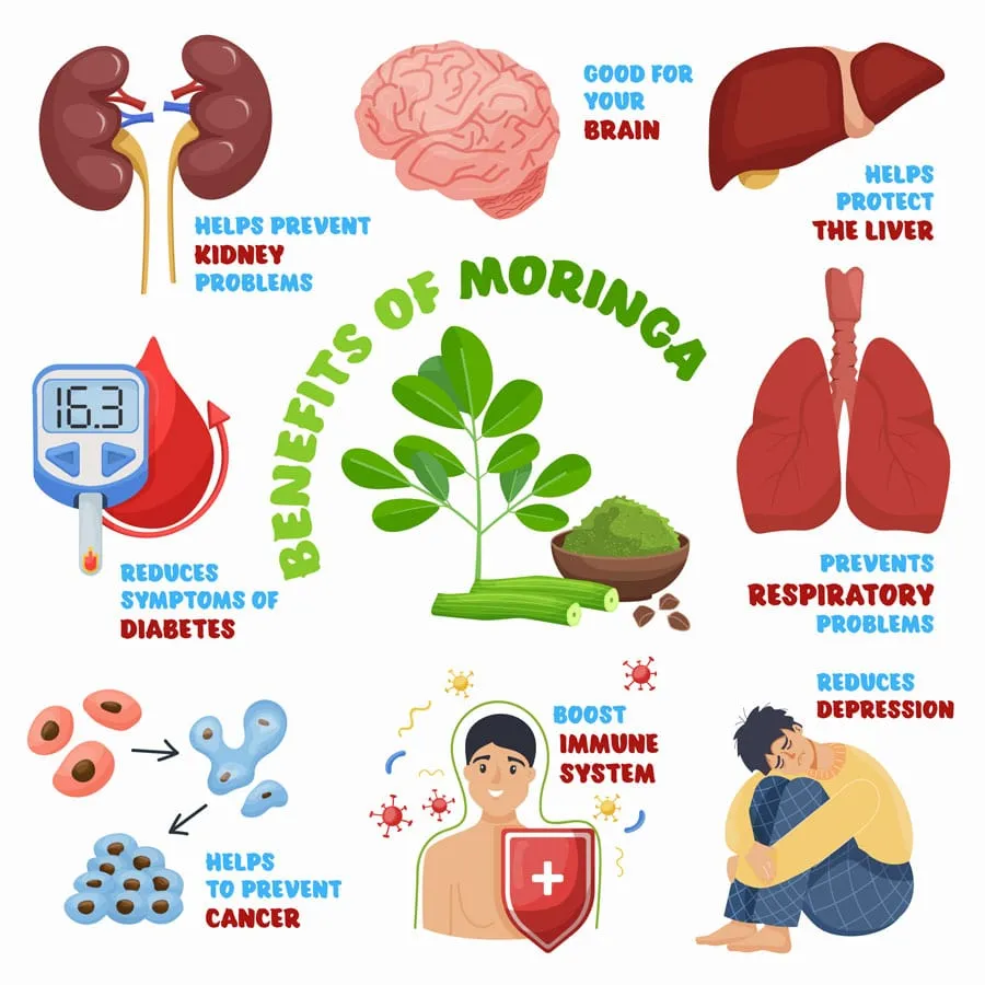 benefits-moringa