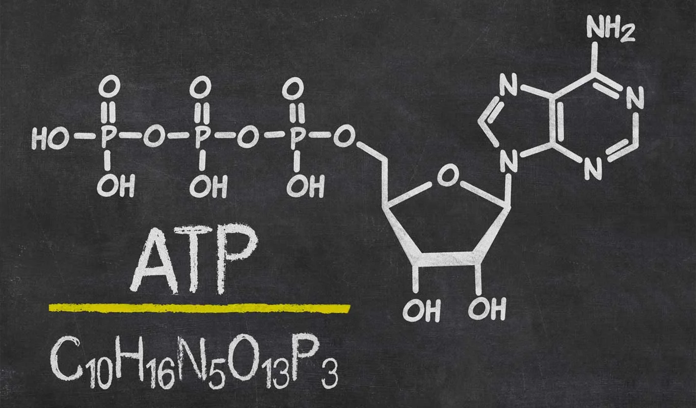 atp