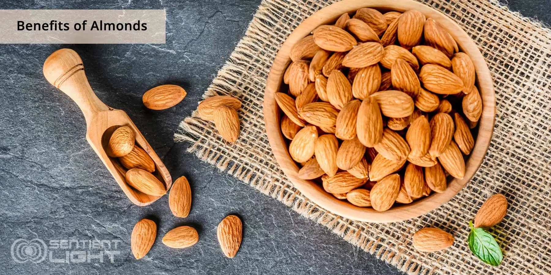 Benefits of Almonds high in vitamin E Benefits of Almonds high in vitamin E