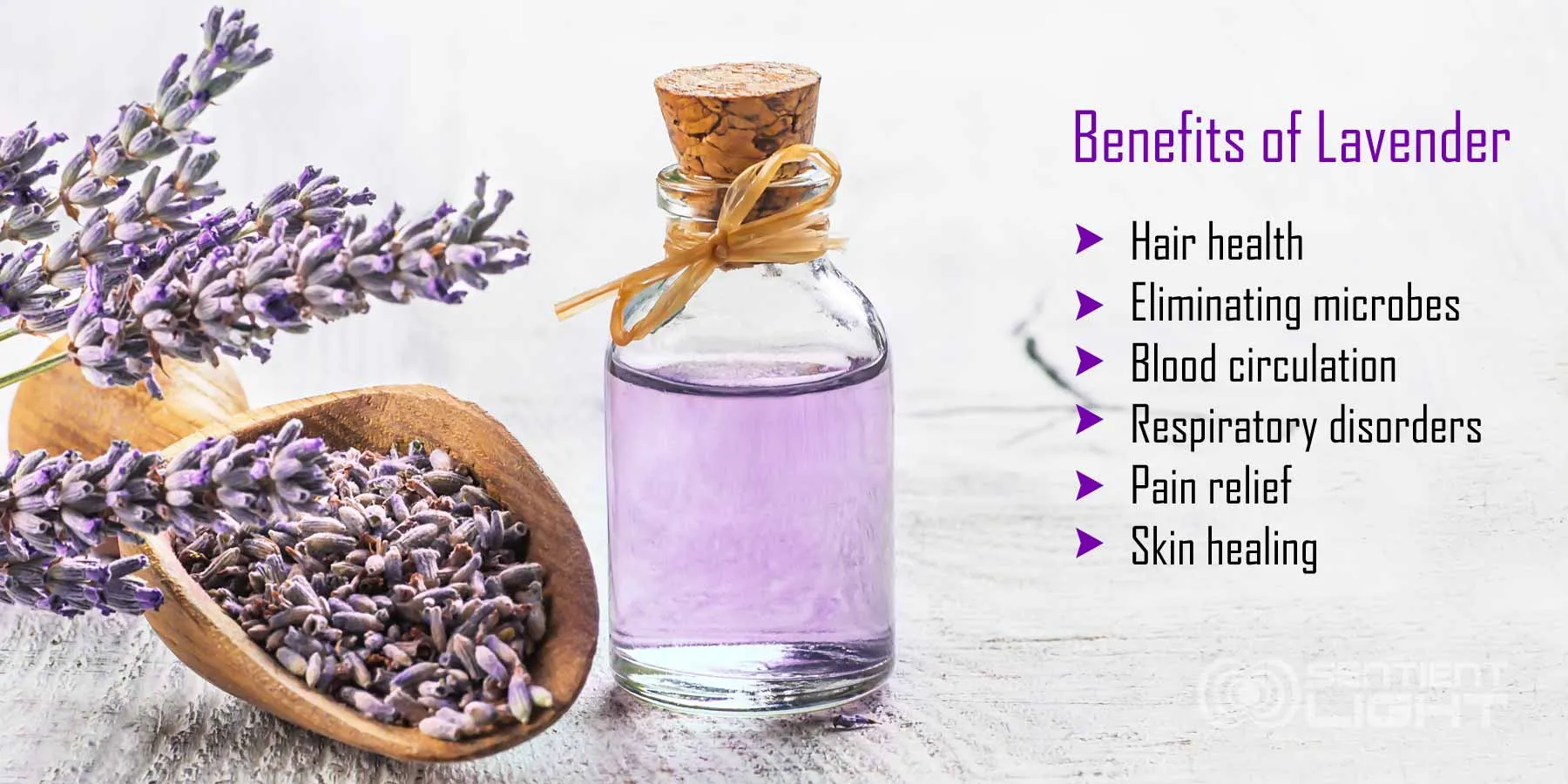 benefits-of-lavender