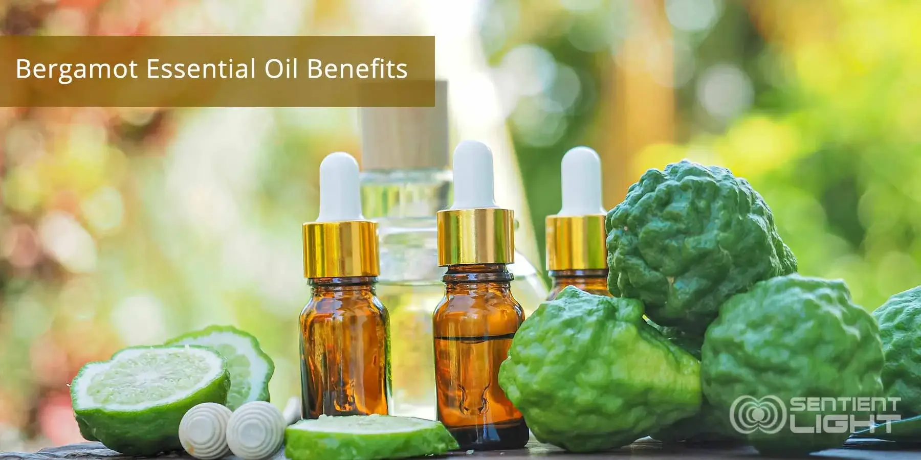 Health benefits of Bergamot Essential Oil Health benefits of Bergamot Essential Oil
