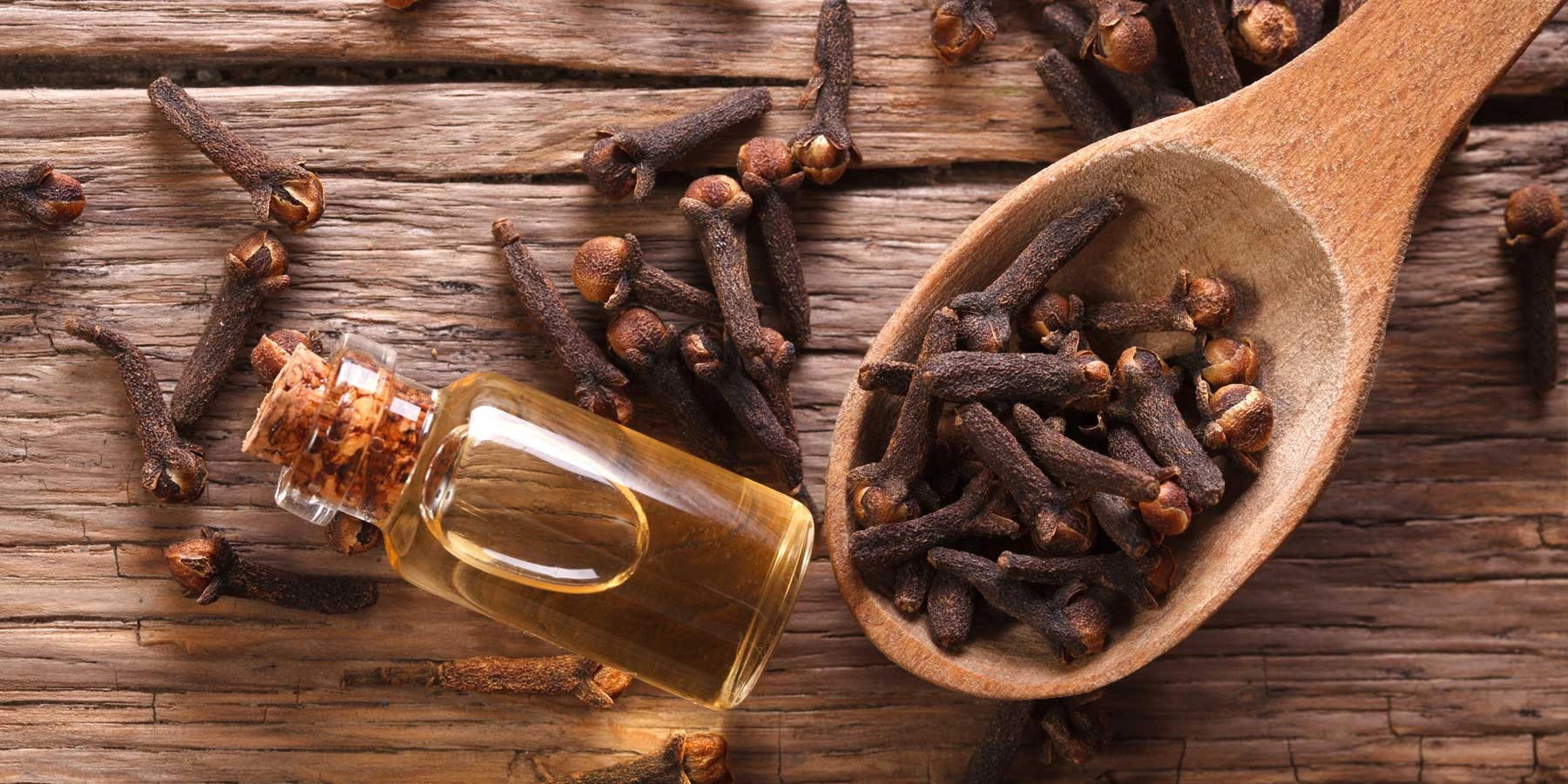 Benefits and Uses of Clove Essential Oil Benefits and Uses of Clove Essential Oil