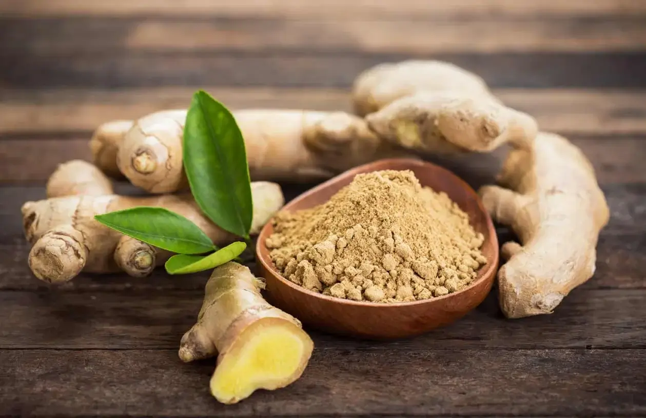 Benefits and Uses of Ginger Benefits and Uses of Ginger