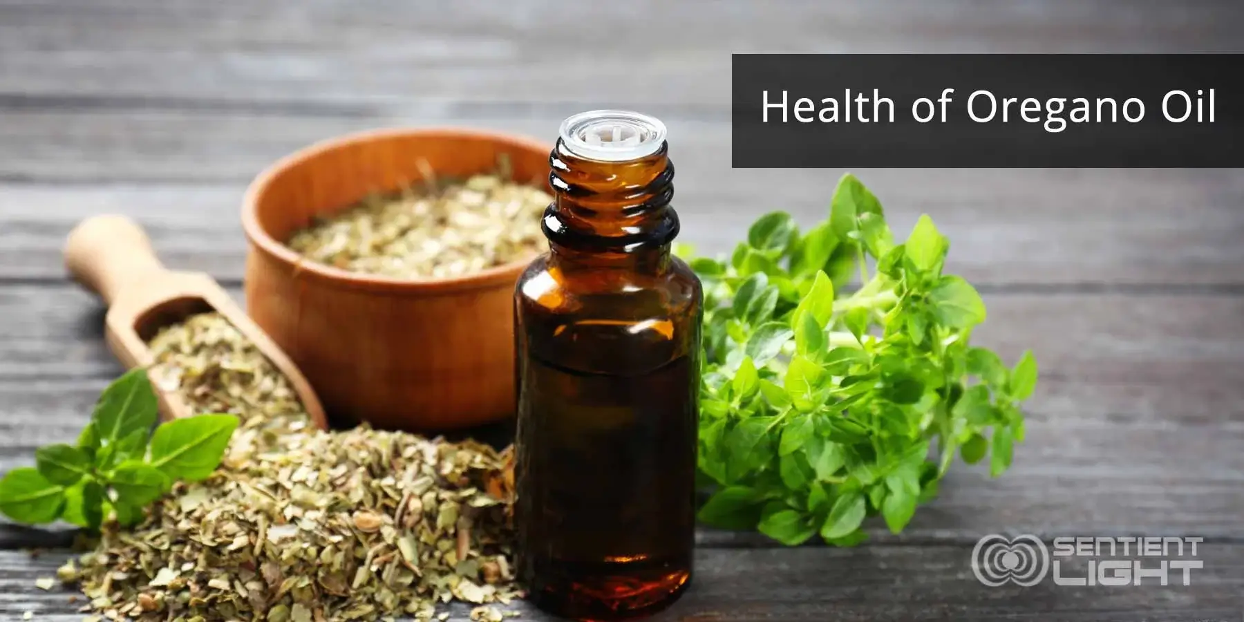 Health Benefits of Oregano Essential Oil Health Benefits of Oregano Essential Oil