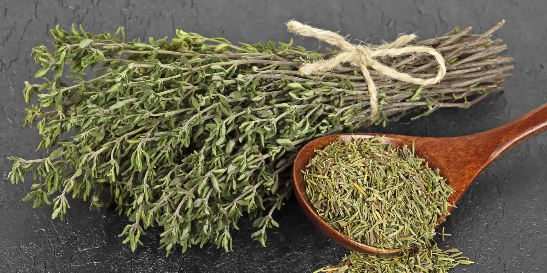 Health Benefits of Thyme Essential Oil Health Benefits of Thyme Essential Oil