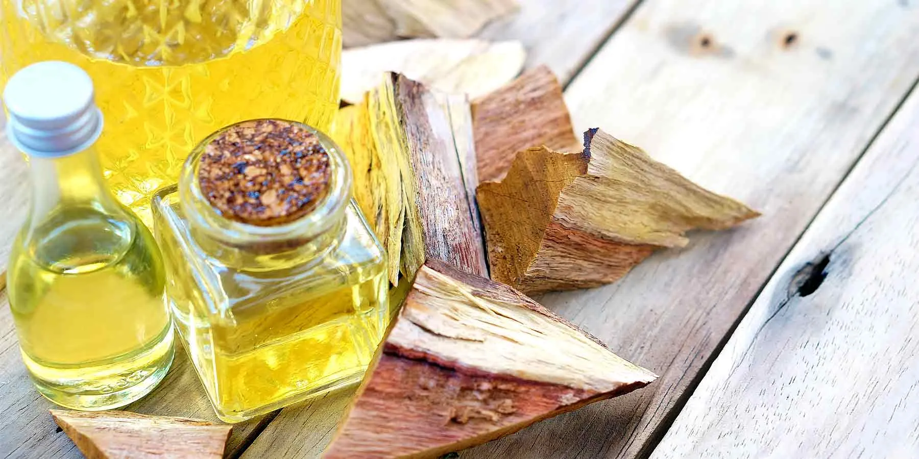 history-sandalwood-oil