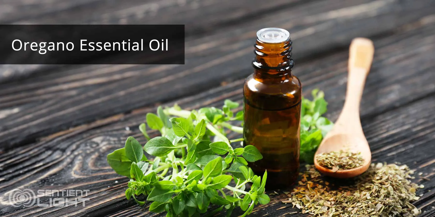 oregano-essential-oil