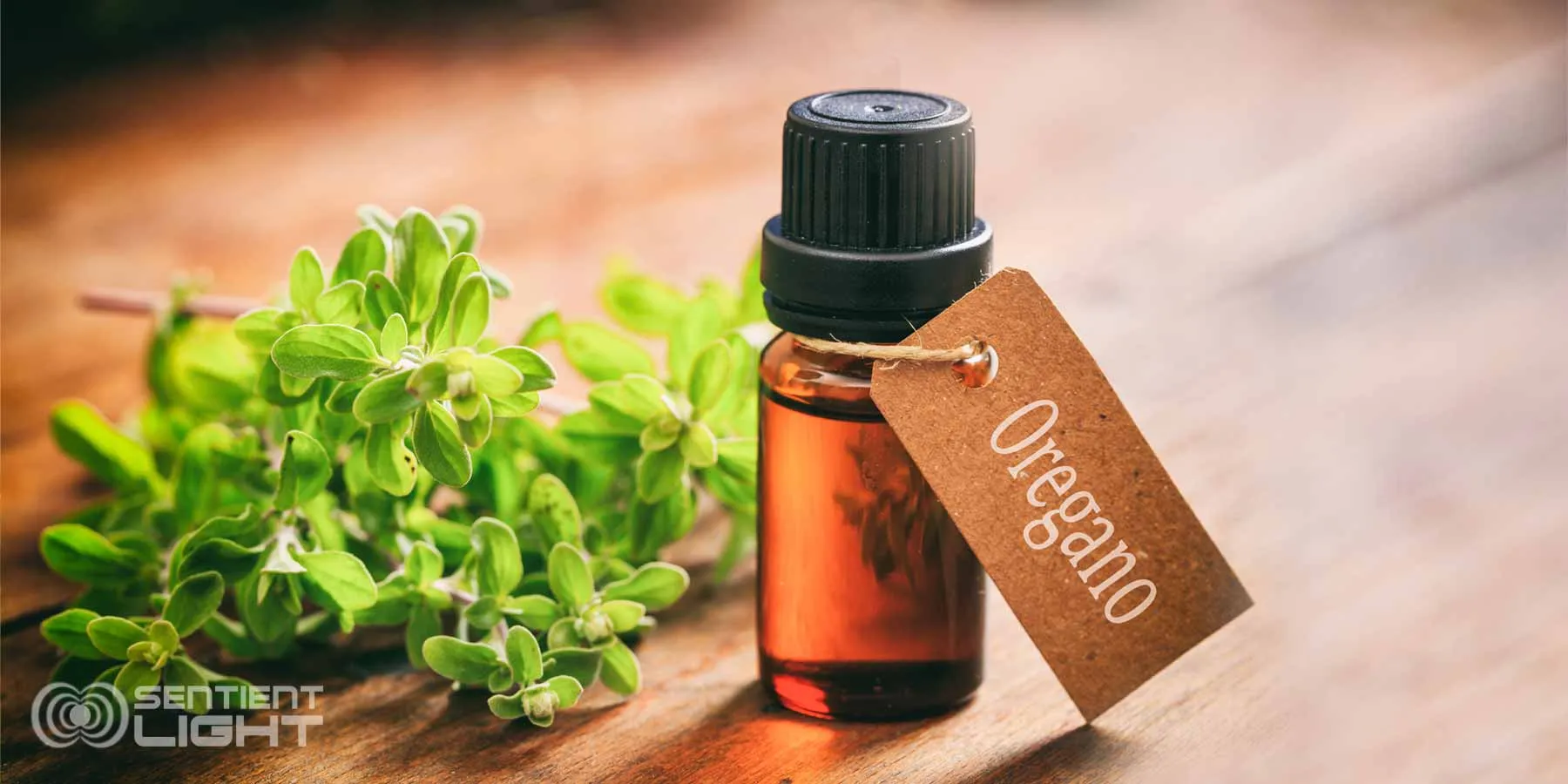 oregano-oil