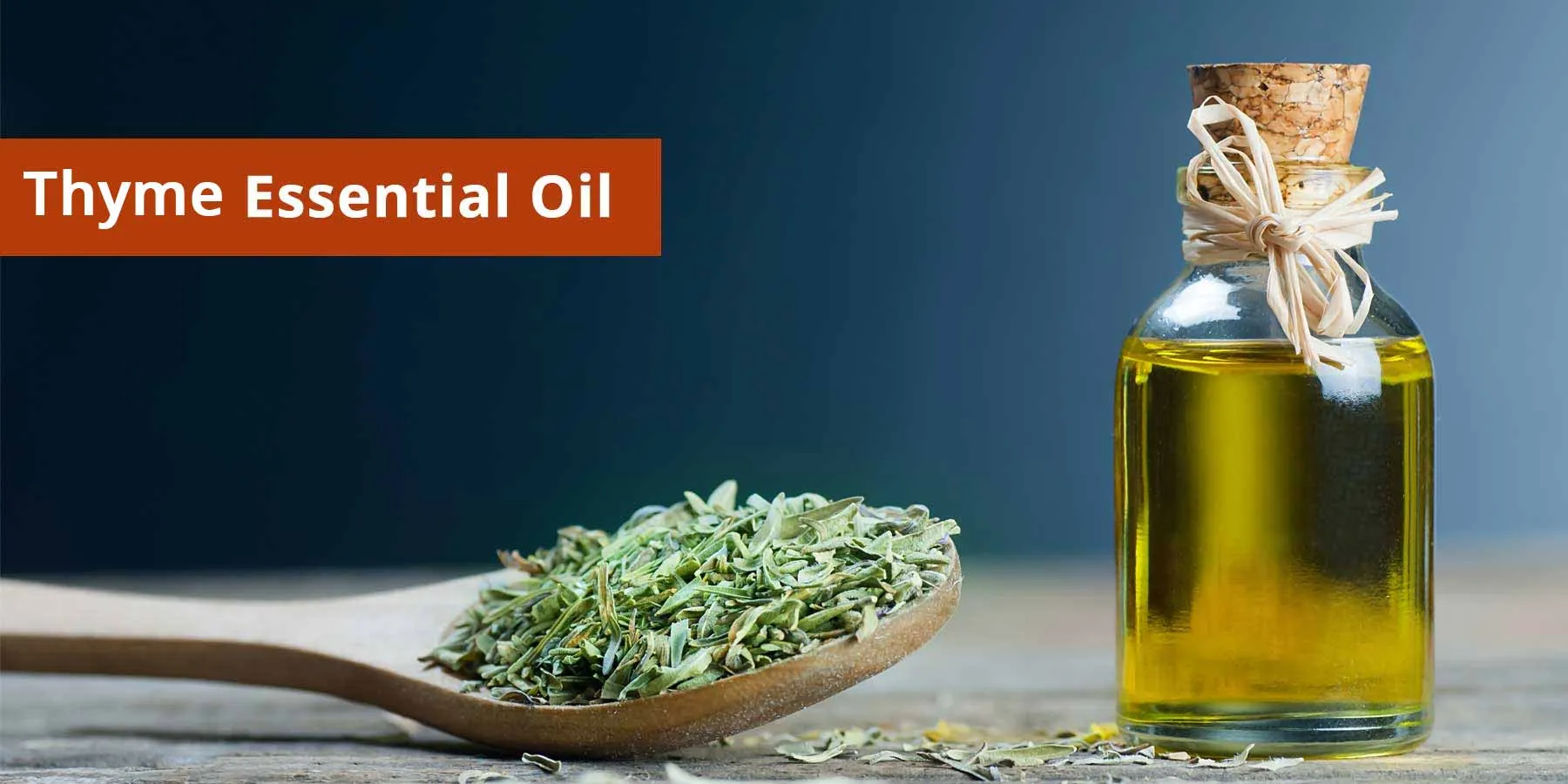 thyme-essential-oil