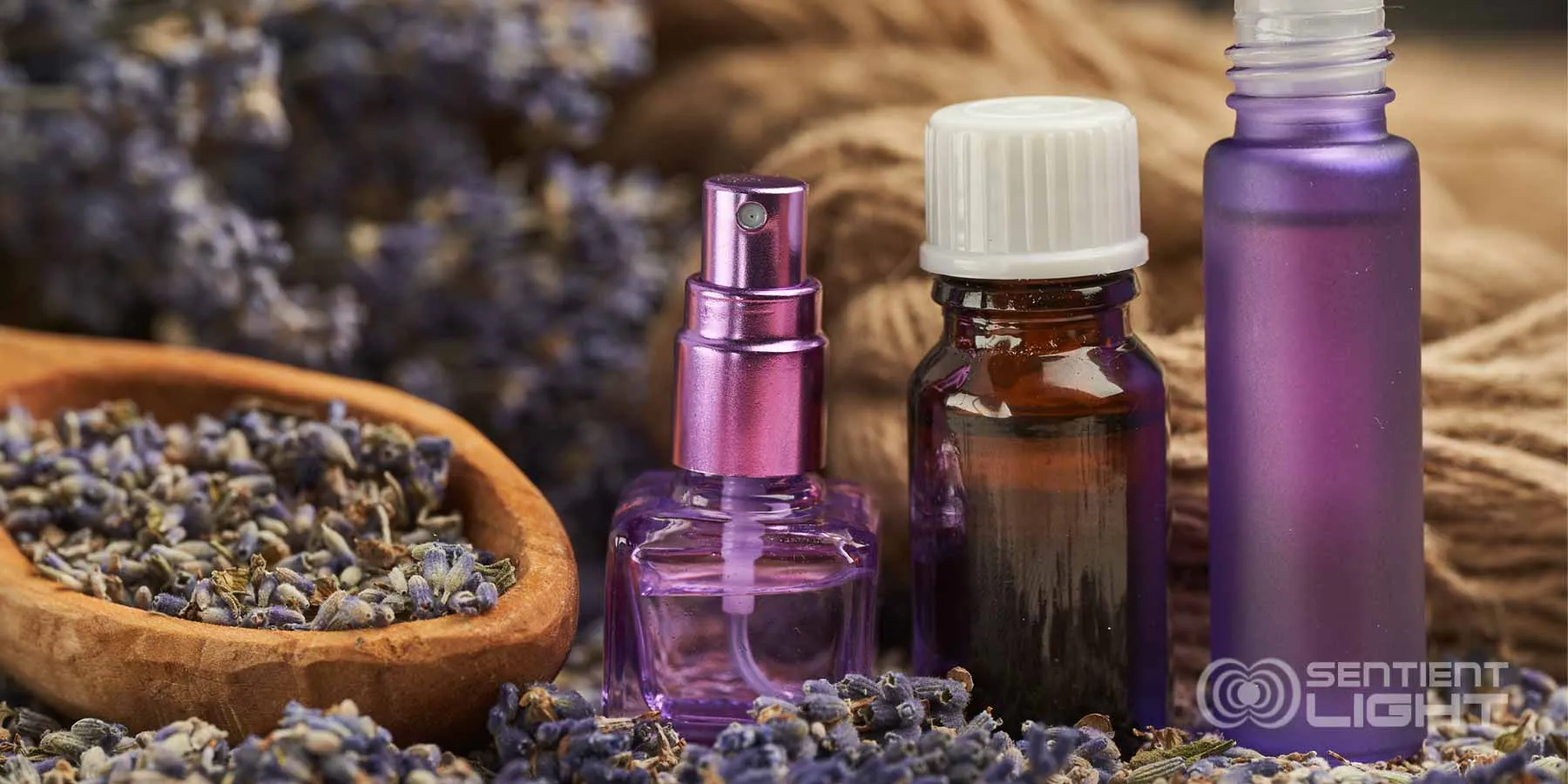 uses-fo-lavender