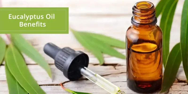 benefits-of-eucalyptus