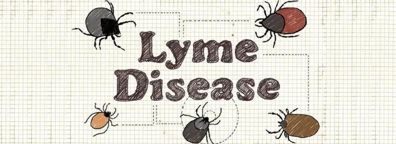 lyme-disease