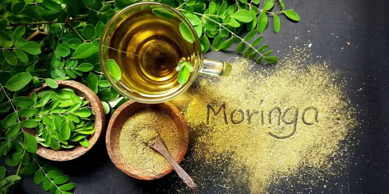 moringa